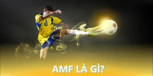 amf là gì