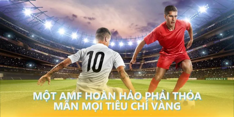 Một AMF hoàn hảo phải thỏa mãn mọi tiêu chí vàng